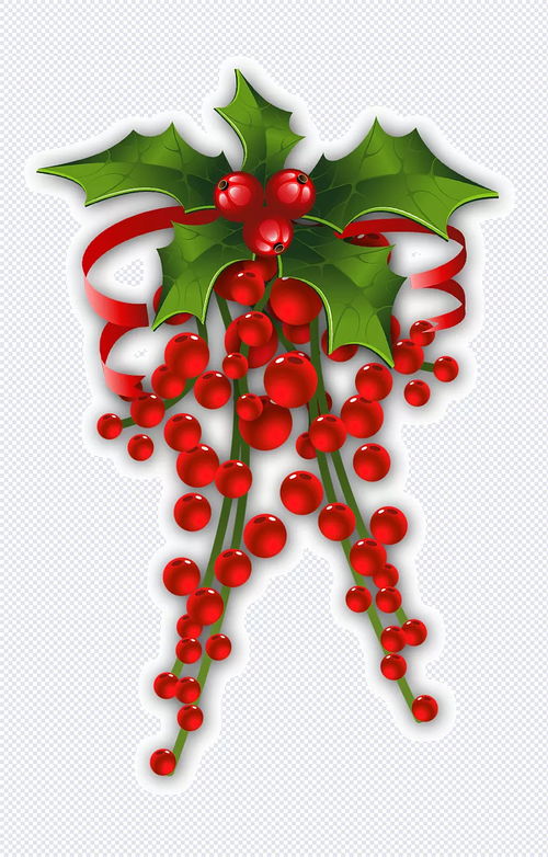 圣誕節裝飾槲寄生,槲寄生裝飾,紅色圣誕節裝飾png clipart食品,剪圖片 槲寄生裝飾,clipart食品,剪貼畫,分支機構,水果,糖果甘蔗,花環,冬青,植物,996337,節日元素,免摳素材,剪素材下載,剪模板下載 哦