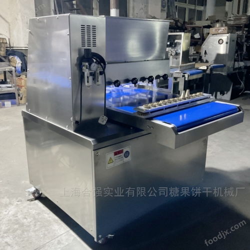 奶酪圈扭花機 奶酪花擠出機 雙伺服曲奇機