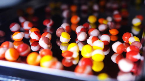 不可思議的凍干機,把糖果放進去,竟然還可以如此美味