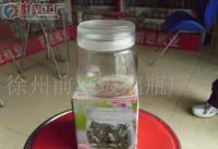 批發糖果 玻璃罐 糖果罐_包裝_世界工廠網中國產品信息庫